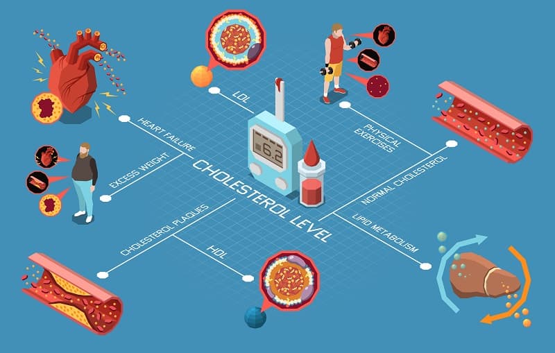 Exploring Alternatives to Statins